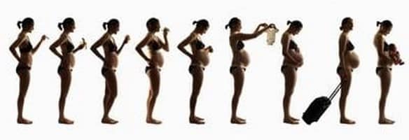 Las etapas en el embarazo y sus cambios mes a mes