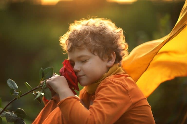 frases cortas de El Principito para poner en la nevera y así inspirar a toda la familia