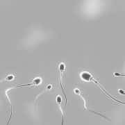 Cómo mejorar tu calidad de semen: guía práctica para futuros padres