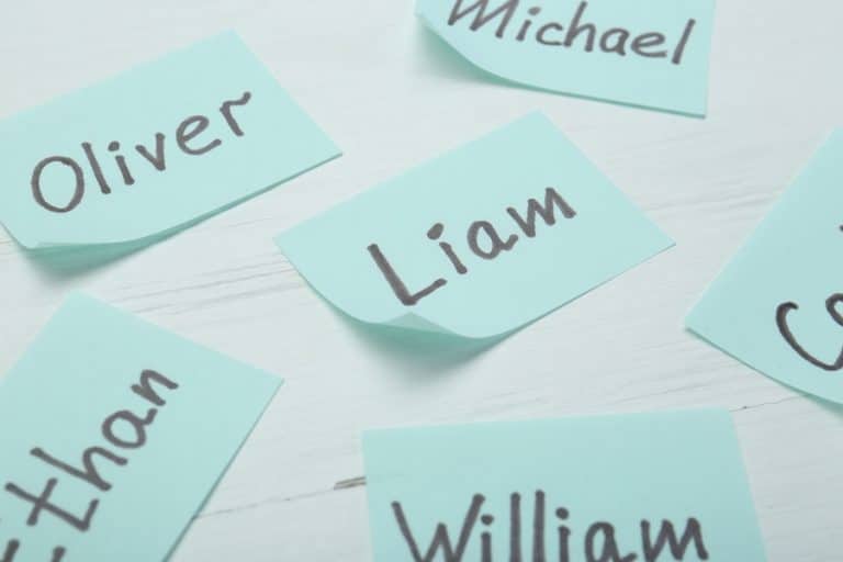 Los nombres más populares para niñas y niños en 2026
